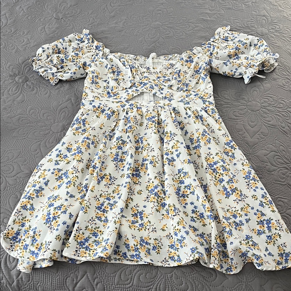 Altar'd State White and Blue Floral Dress